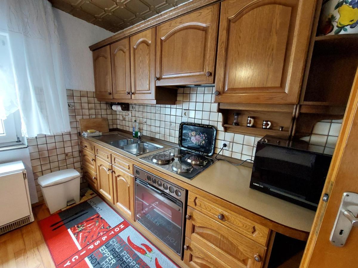 Urige Gemuetliche Ferienwohnung 64 M2 In Dielheim, Naehe Heidelberg Kültér fotó